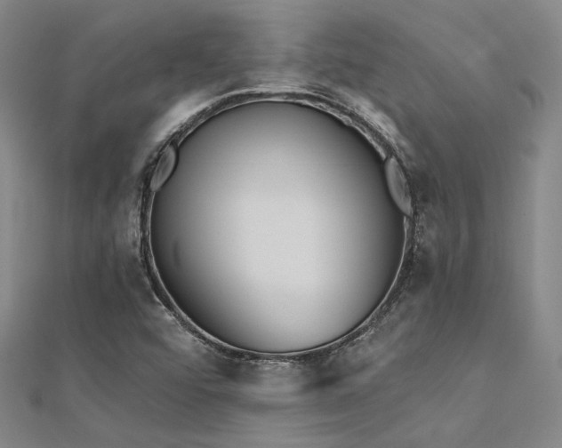 X0000112181456200908071316