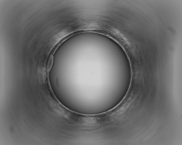 X0000112181457200908071316