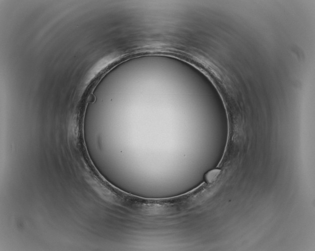 X0000112181458200908071316