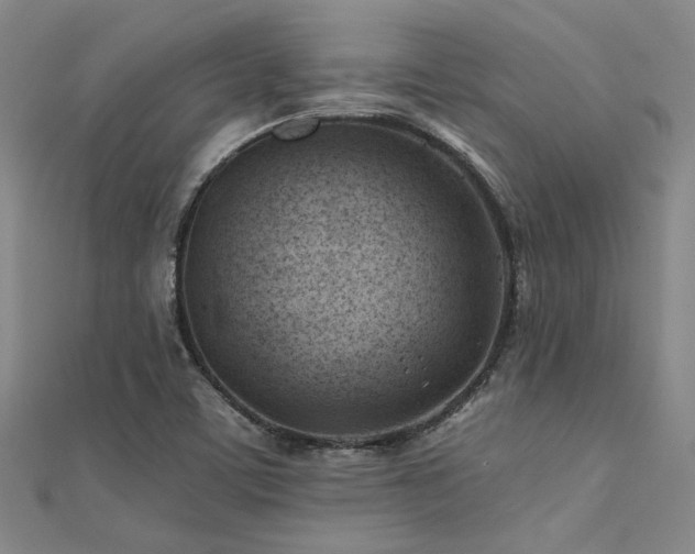 X0000112181459200908071316