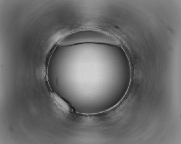 X0000112181461200908071316