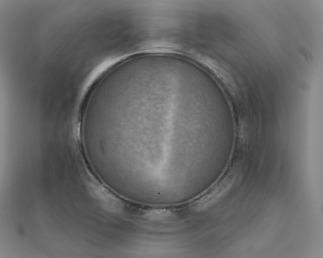 X0000112181462200908071316