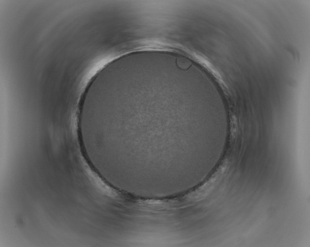 X0000112181463200908071316