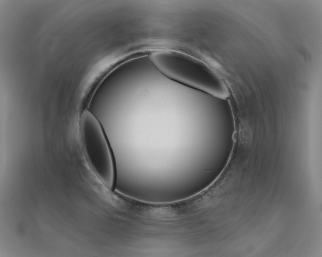 X0000112181464200908071316