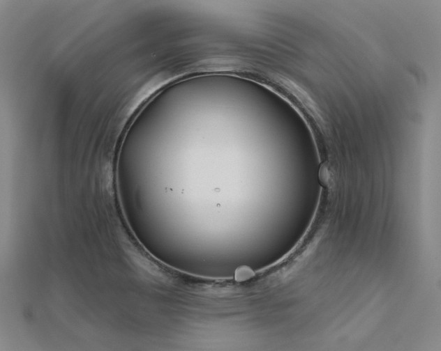 X0000112181465200908071316