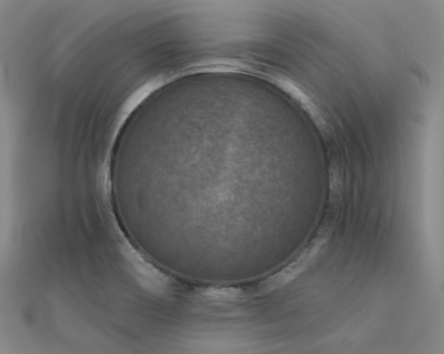 X0000112181466200908071316