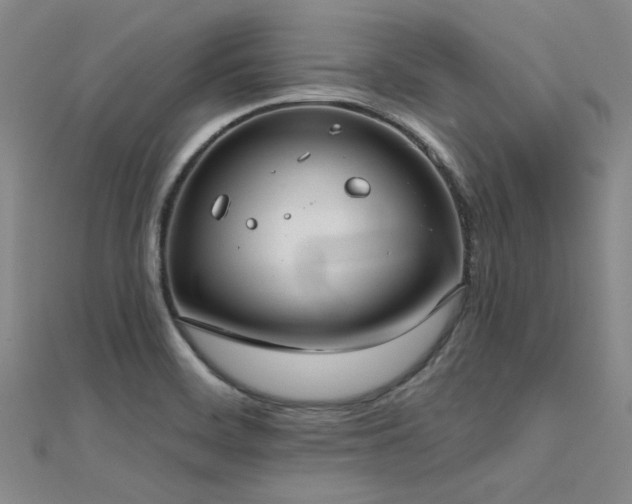 X0000112181468200908071316