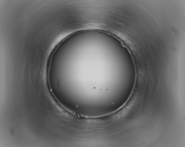 X0000112181469200908071316