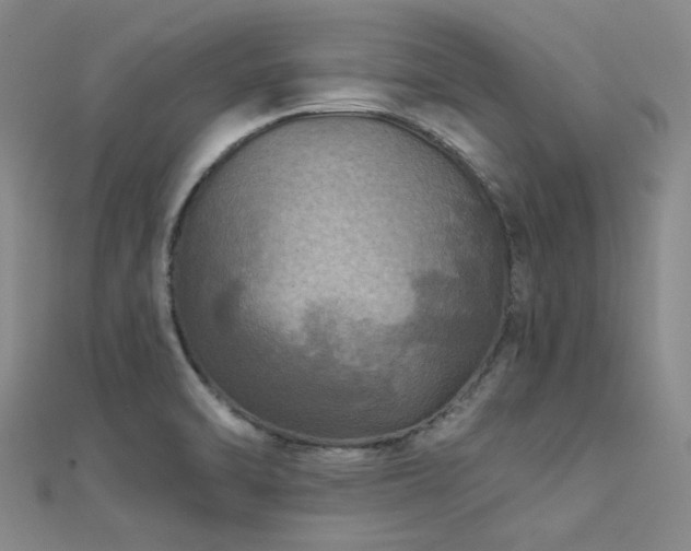 X0000112181470200908071316