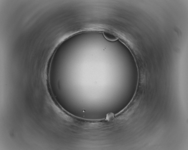 X0000112181471200908071316