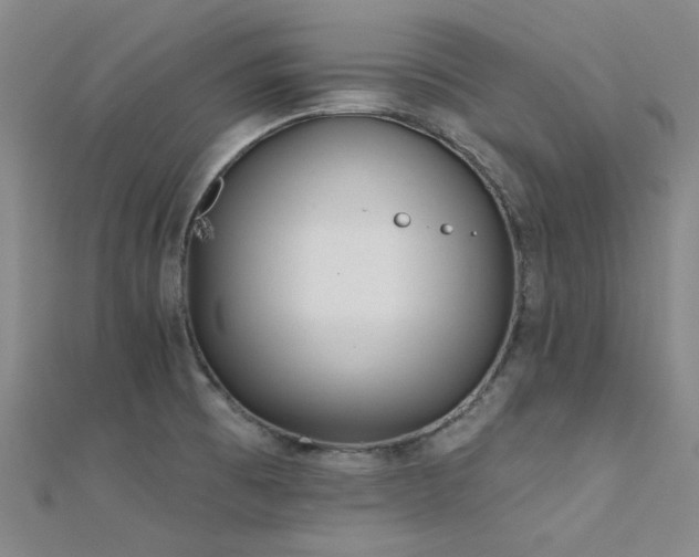 X0000112181473200908071316