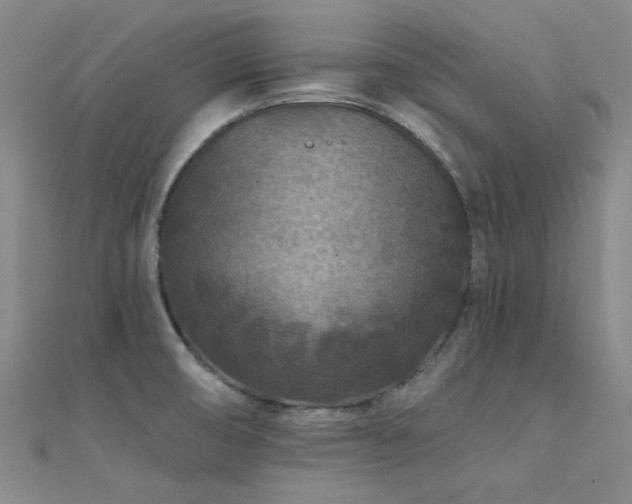 X0000112181474200908071316