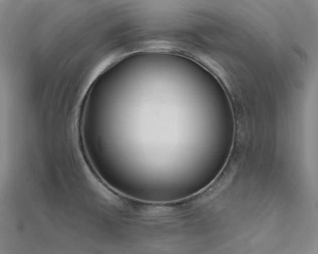 X0000112181475200908071316