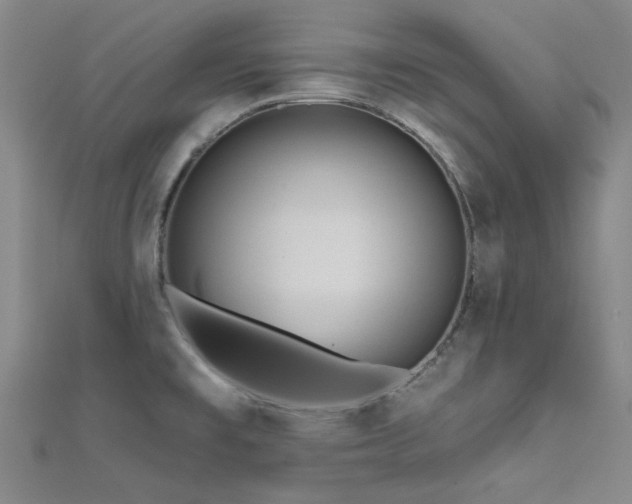 X0000112181477200908071316