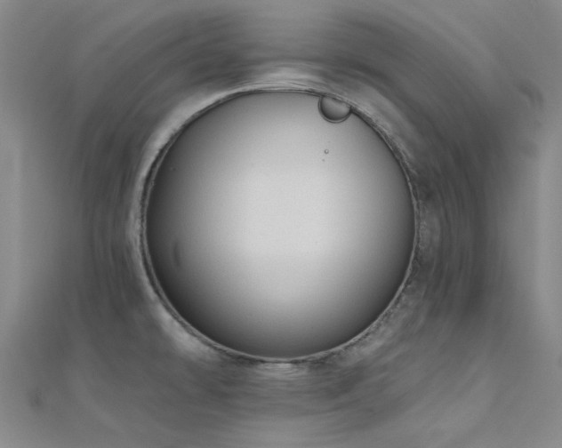 X0000112181478200908071316