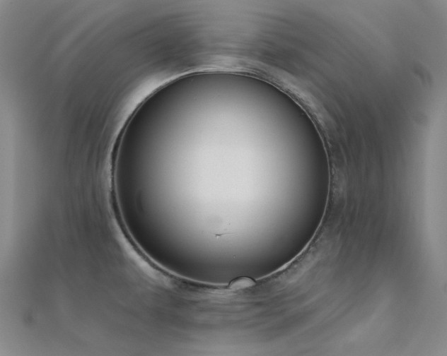 X0000112181479200908071316