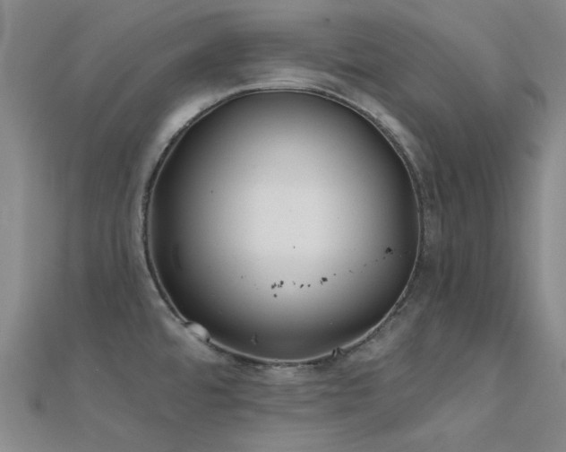 X0000112181480200908071316