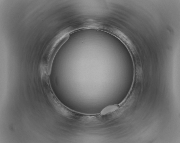 X0000112181481200908071316