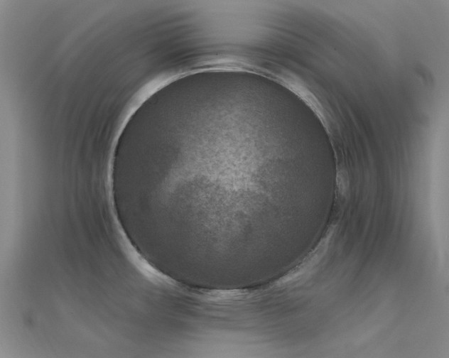 X0000112181482200908071316