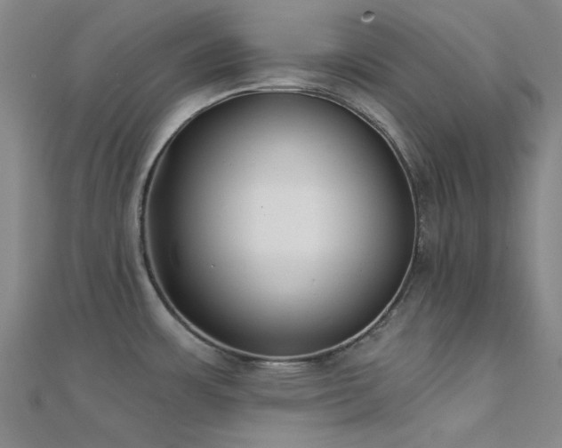 X0000112181483200908071316