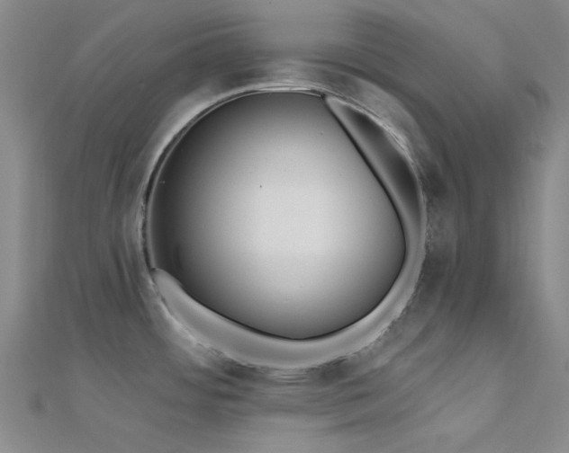 X0000112181484200908071316