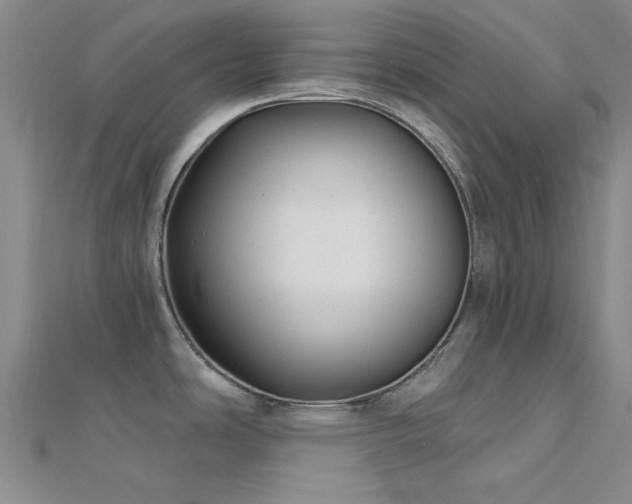 X0000112181486200908071316