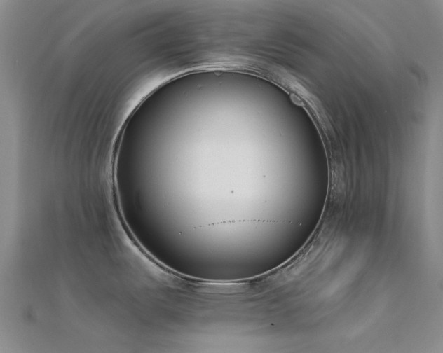 X0000112181487200908071316