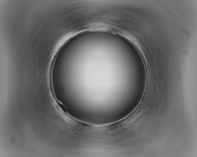 X0000112181488200908071316