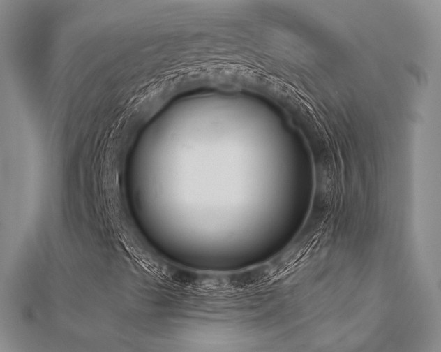 X0000112181489200908071315