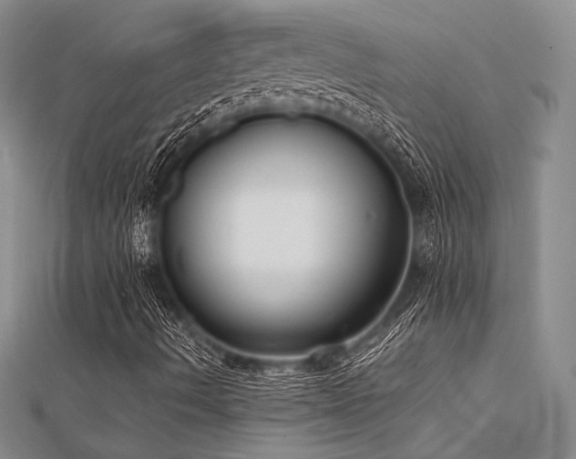 X0000112181490200908071315