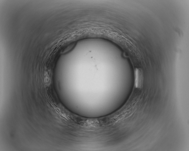 X0000112181491200908071315