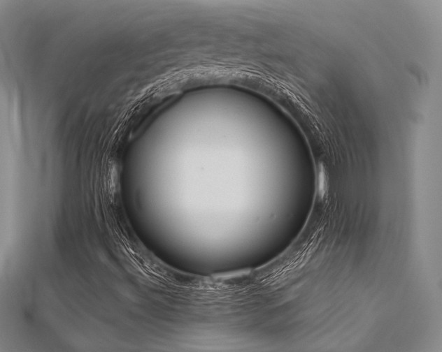 X0000112181492200908071315