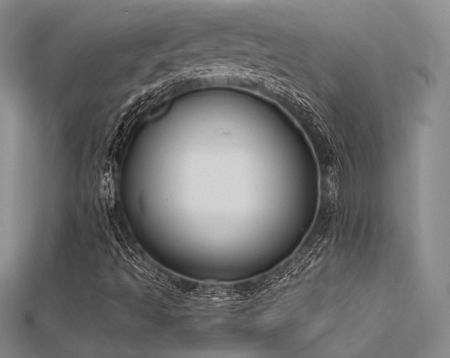 X0000112181493200908071315