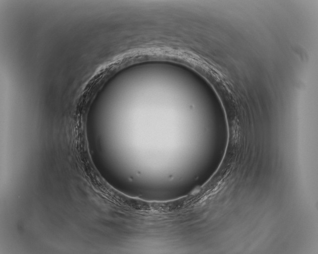 X0000112181494200908071315