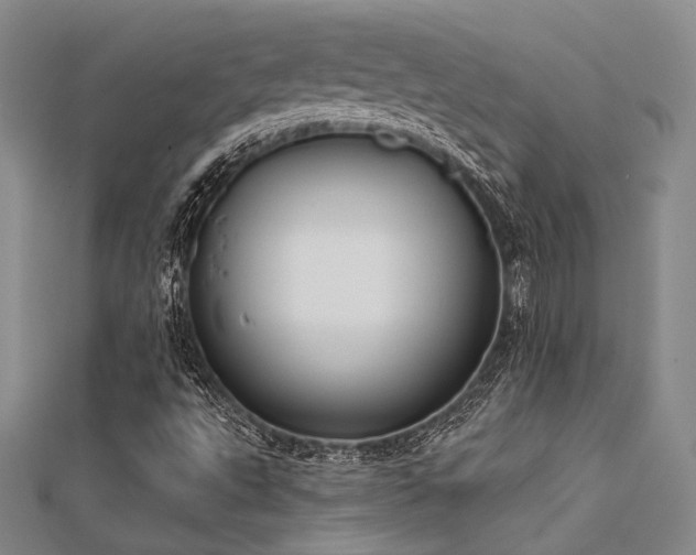 X0000112181495200908071315