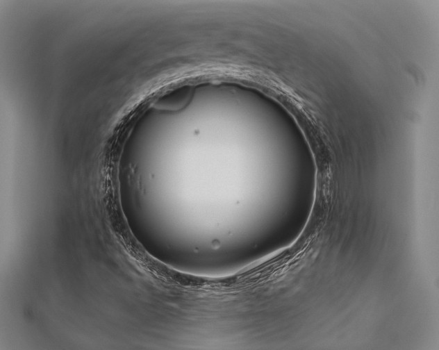 X0000112181496200908071315