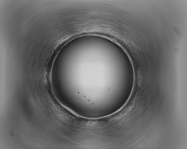 X0000112181497200908071315