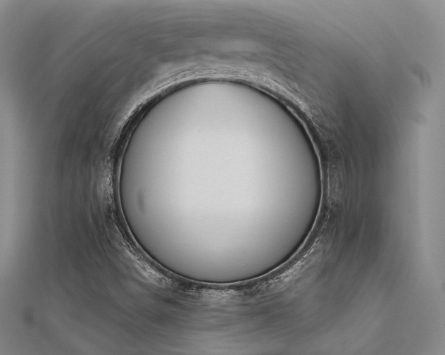 X0000112181498200908071315