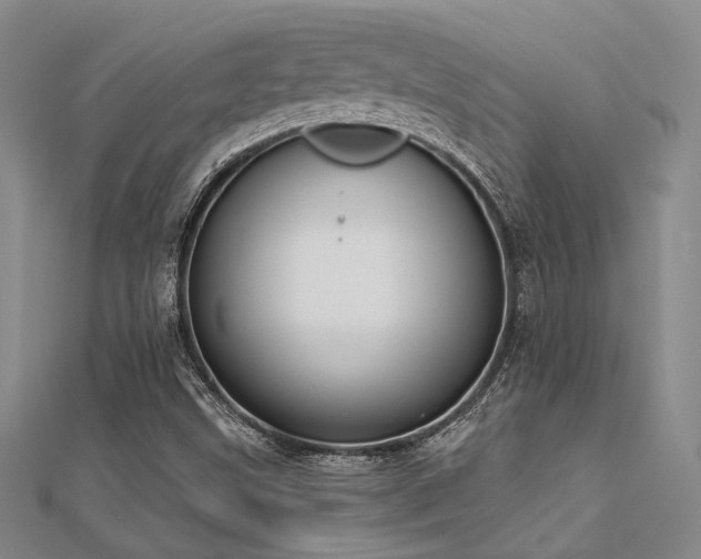 X0000112181499200908071315