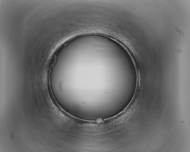 X0000112181500200908071315