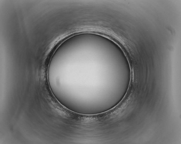 X0000112181501200908071315