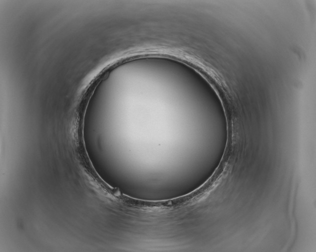 X0000112181502200908071315