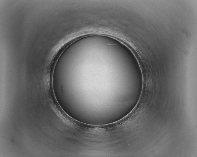 X0000112181503200908071315