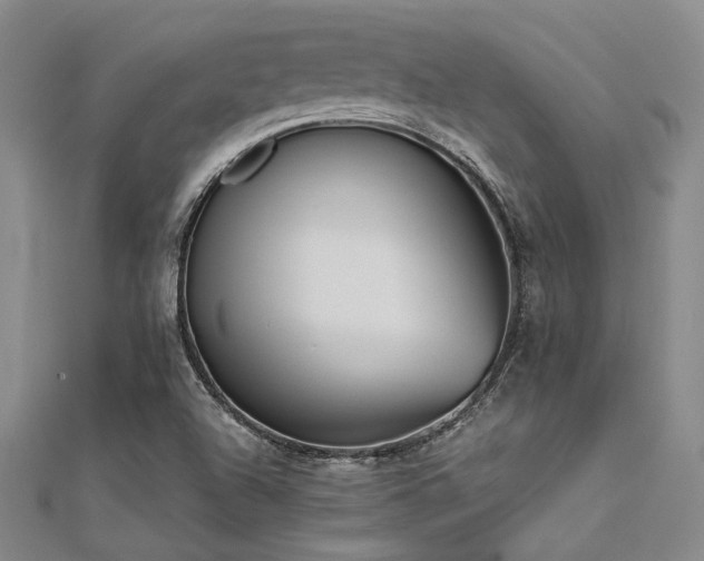 X0000112181504200908071315