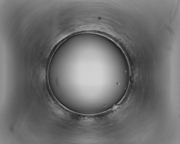 X0000112181505200908071315