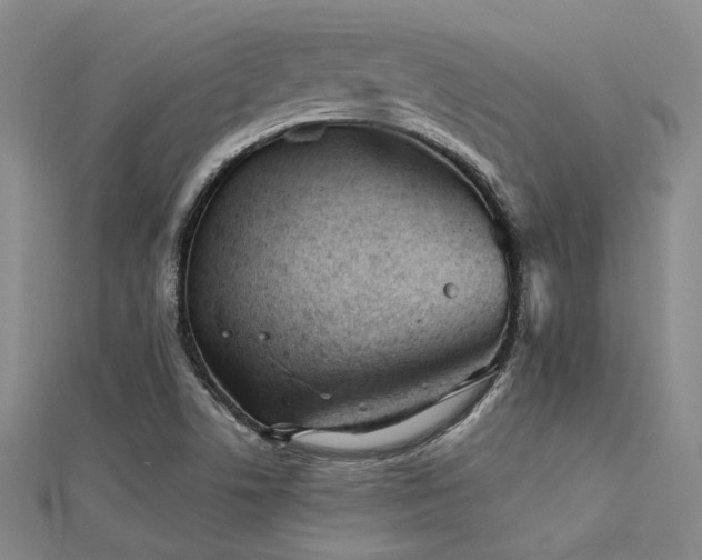 X0000112181506200908071315