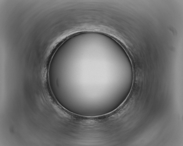 X0000112181507200908071315