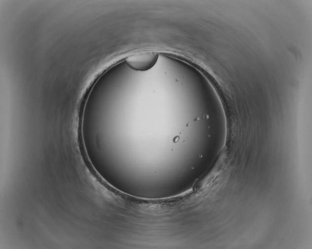 X0000112181508200908071315