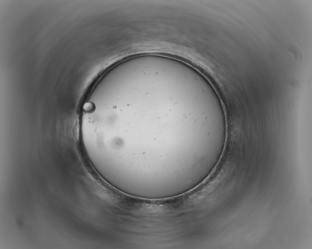 X0000112181509200908071315