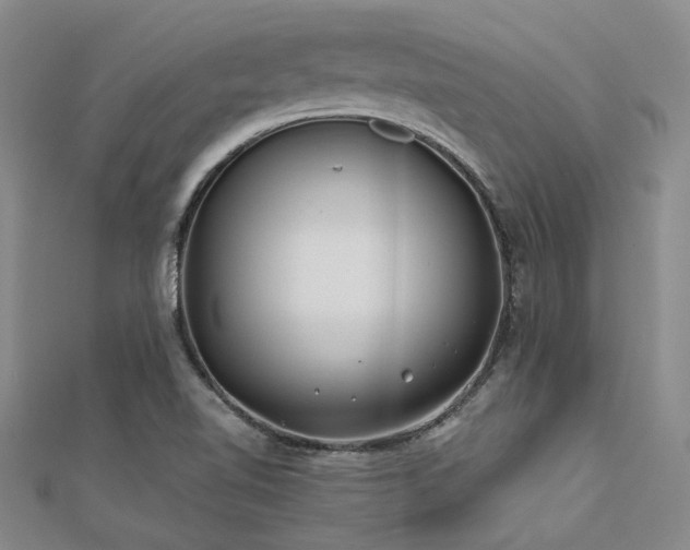 X0000112181510200908071315